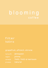 Lade das Bild in den Galerie-Viewer, Filter Kabira - Äthiopien