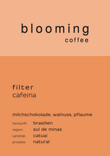 Lade das Bild in den Galerie-Viewer, Filter Cafeina - Brasilien