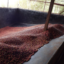 Lade das Bild in den Galerie-Viewer, Filter baragwi thimu - Kenia