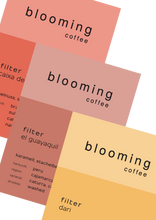 Lade das Bild in den Galerie-Viewer, Blooming Filter-Bundle - Extended