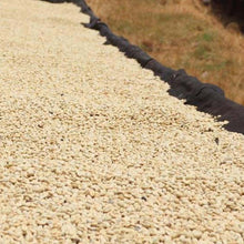 Lade das Bild in den Galerie-Viewer, Filter baragwi thimu - Kenia