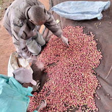 Lade das Bild in den Galerie-Viewer, Filter baragwi thimu - Kenia