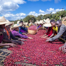 Lade das Bild in den Galerie-Viewer, Espresso Kabira - Äthiopien