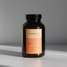 Lade das Bild in den Galerie-Viewer, Filter Cafeina - Brasilien