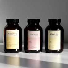 Lade das Bild in den Galerie-Viewer, Blooming Filter-Bundle - Extended