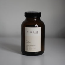 Lade das Bild in den Galerie-Viewer, Filter Kabira - Äthiopien