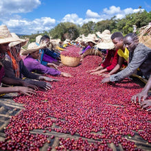 Lade das Bild in den Galerie-Viewer, Filter Kabira - Äthiopien