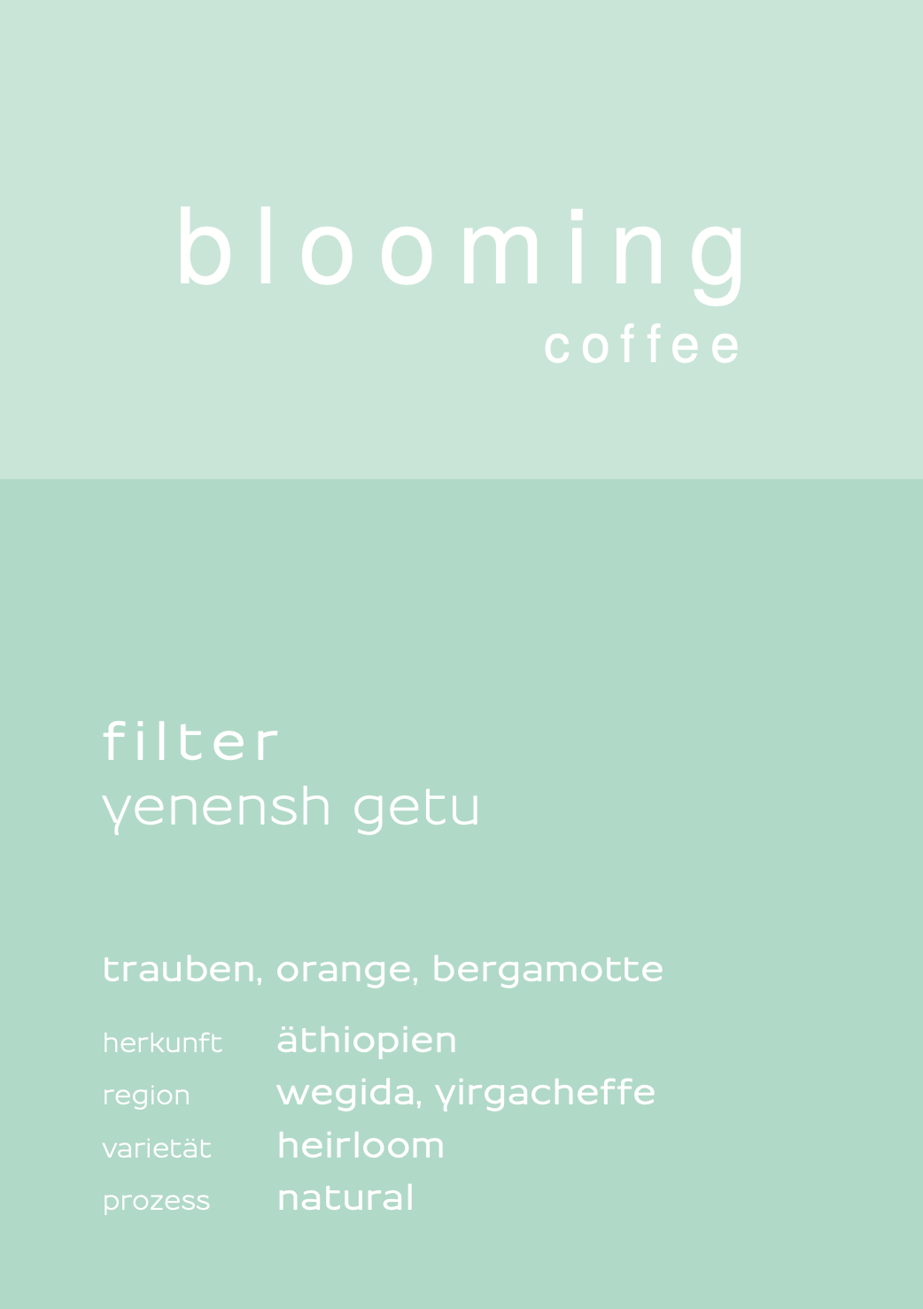 Filter Yenensh Getu - Äthiopien