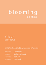 Lade das Bild in den Galerie-Viewer, Filter Cafeina - Brasilien
